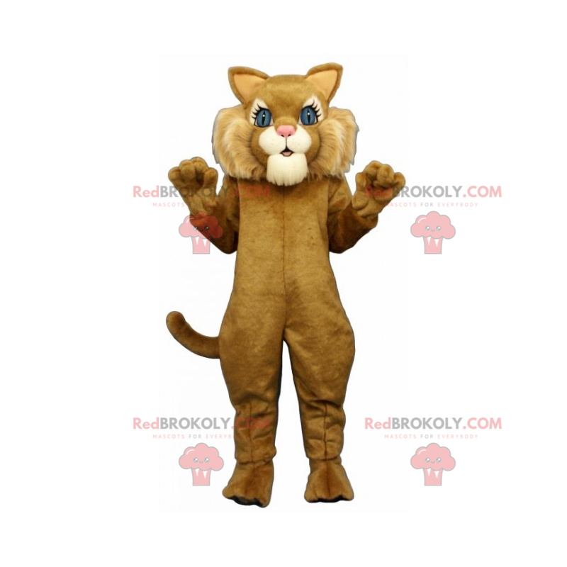 Adorable cat mascot with big blue eyes - Redbrokoly.com