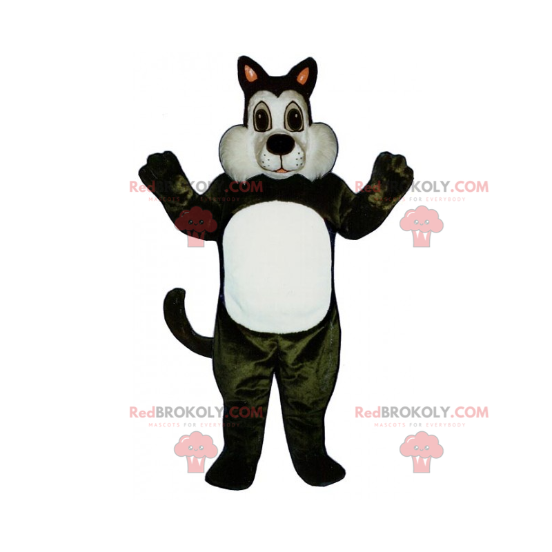 Adorável mascote de gato preto e branco - Redbrokoly.com