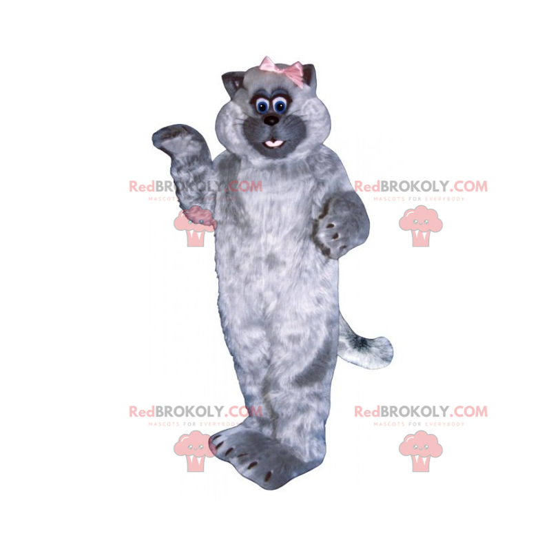 Entzückendes Katzenmaskottchen mit dem kleinen Bogen - Entzückendes Katzenmaskottchen mit dem kleinen Bogen -