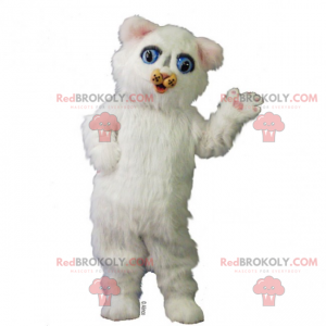 Mascota adorable gatito blanco - Redbrokoly.com