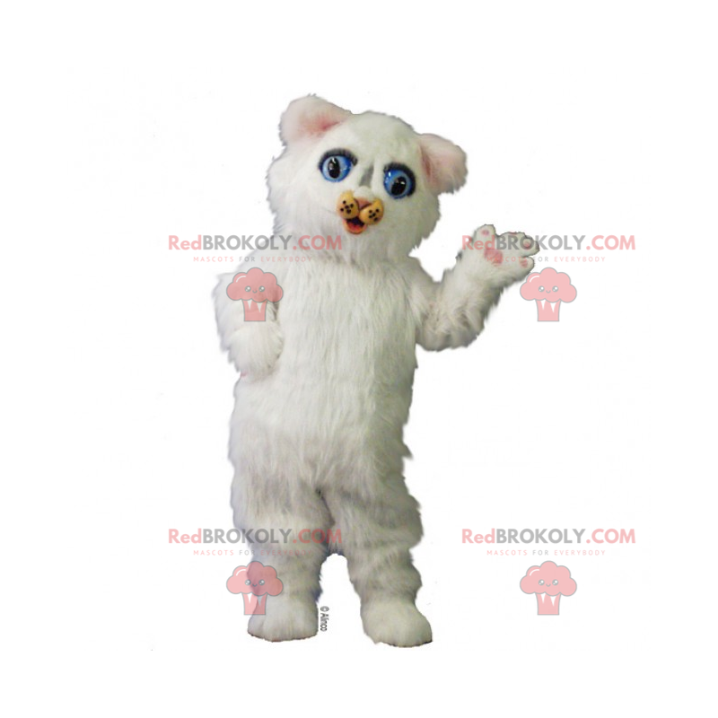 Adorável mascote gatinho branco - Redbrokoly.com