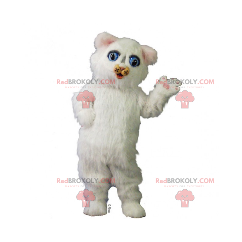 Mascotte d'adorable chaton blanc - Redbrokoly.com