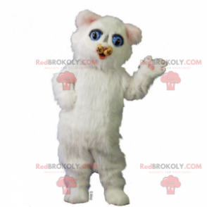 Adorable white kitten mascot - Redbrokoly.com