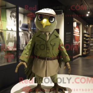 Olive Falcon...