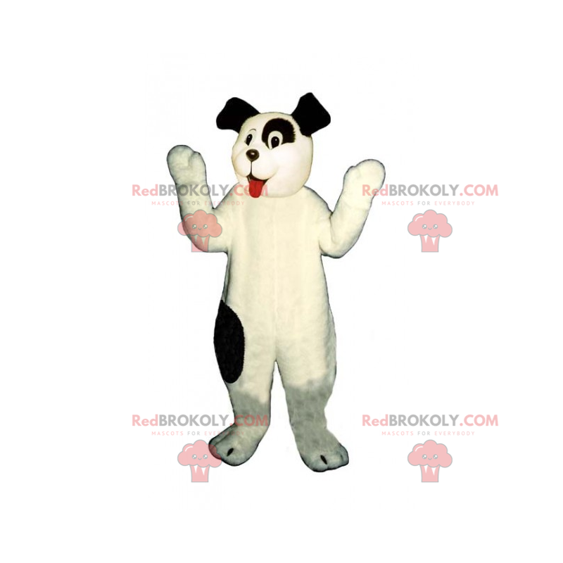Entzückender kleiner weißer Hund des Maskottchens und der Entzückender kleiner weißer Hund des Maskottchens und der