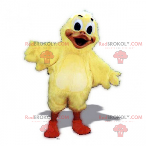 Mascota adorable pollito - Redbrokoly.com