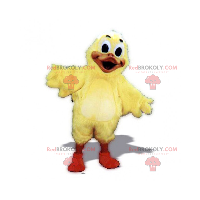 Adorable chick mascot - Redbrokoly.com