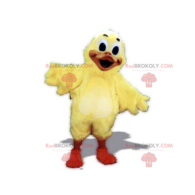 Entzückendes Kükenmaskottchen - Redbrokoly.com Entzückendes Kükenmaskottchen - Redbrokoly.com
