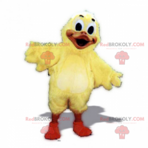Roztomilý kuřátko maskot - Redbrokoly.com