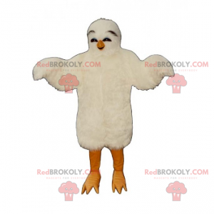Mascota adorable pollito blanco - Redbrokoly.com