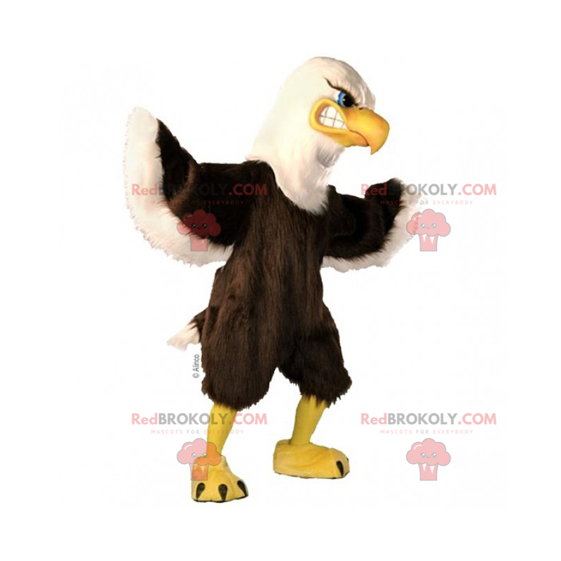 Mascote águia com plumagem macia - Redbrokoly.com