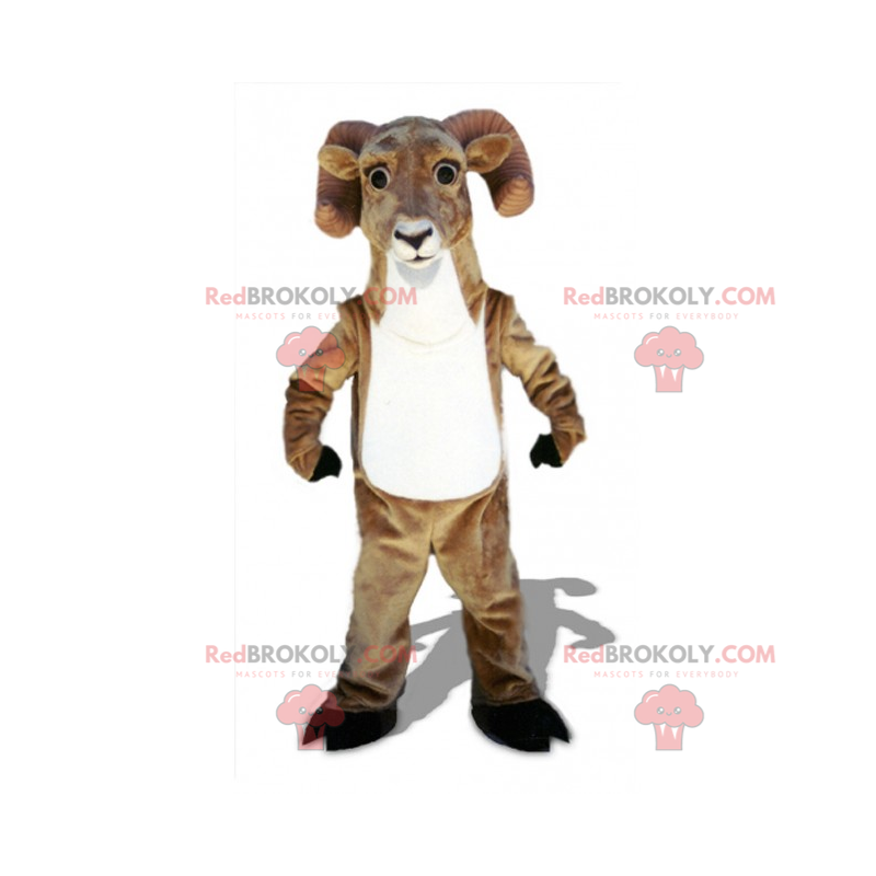 Mascote carneiro de barriga branca - Redbrokoly.com