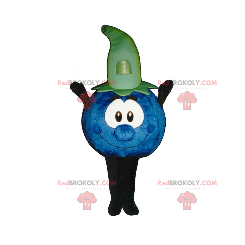 Blueberry mascot - Redbrokoly.com