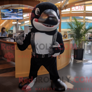 Black Killer Whale maskot...