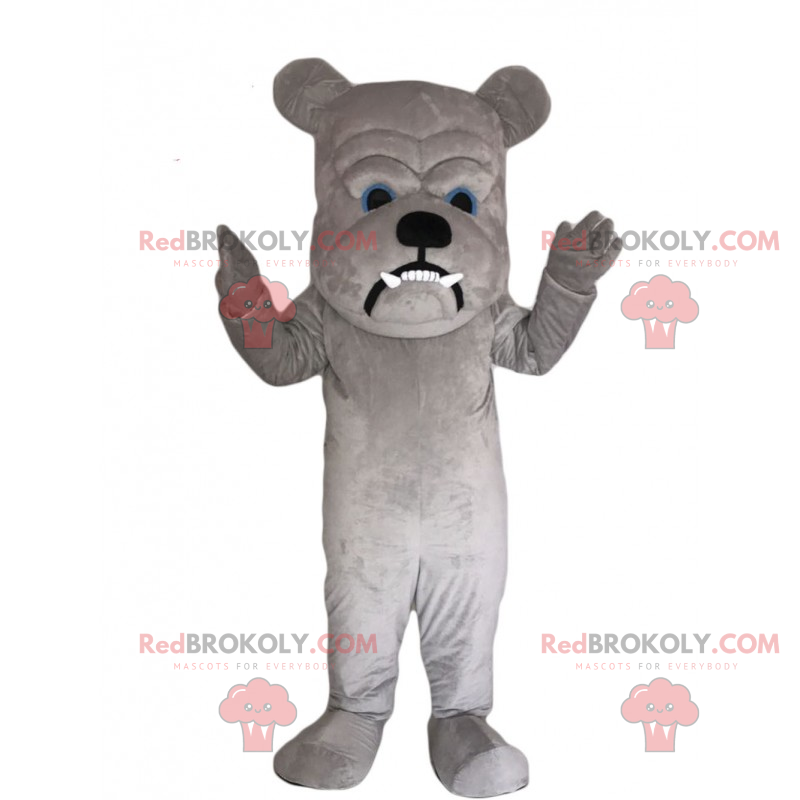 Mascote Bulldog com cabeça grande - Redbrokoly.com Mascote Bulldog com cabeça grande - Redbrokoly.com