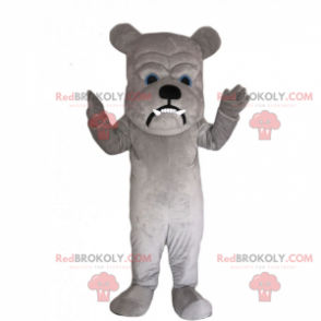 Bulldog Maskottchen mit großem Kopf - Redbrokoly.com