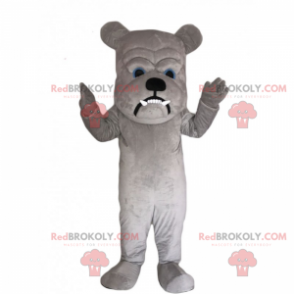 Mascotte de bulldog avec grande tète - Redbrokoly.com