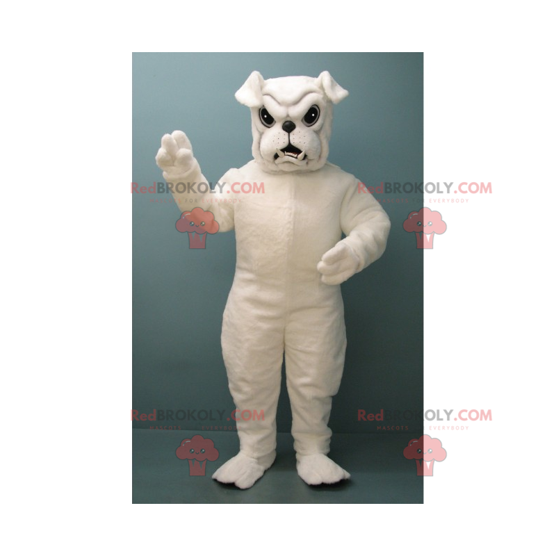 Hvid bulldog maskot - Redbrokoly.com