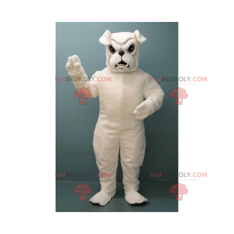 Maskot bílý buldok - Redbrokoly.com Maskot bílý buldok - Redbrokoly.com