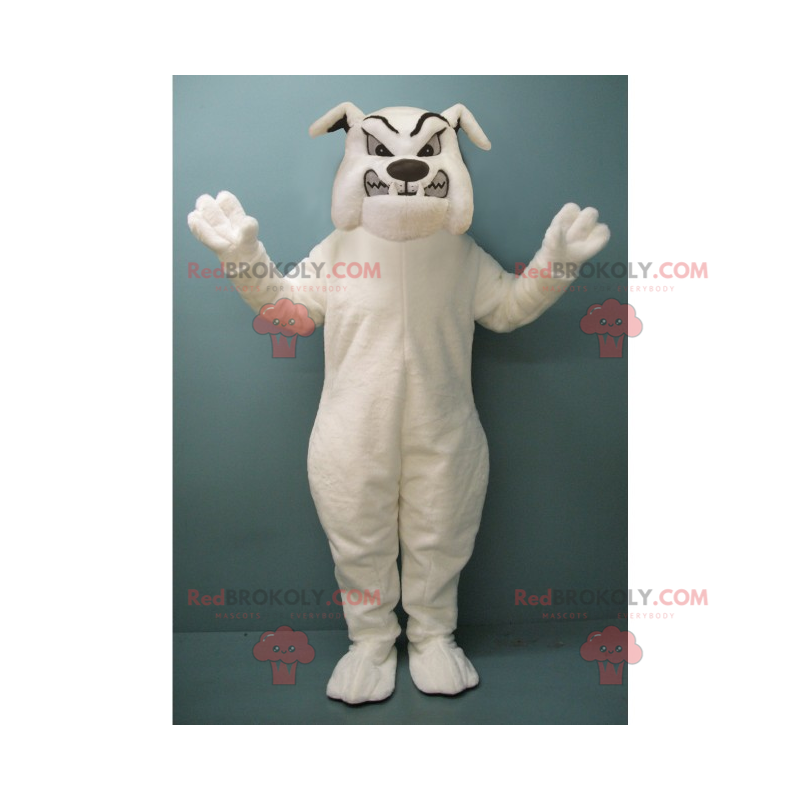 Mascotte de bulldog blanc enragé - Redbrokoly.com