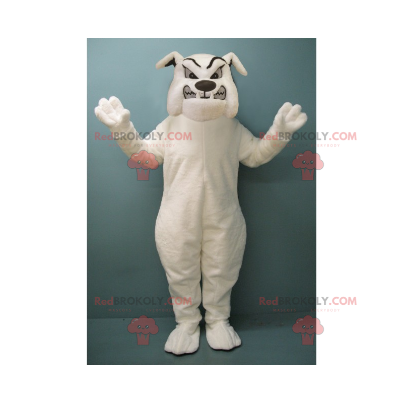 Zuřivý bílý buldok maskot - Redbrokoly.com