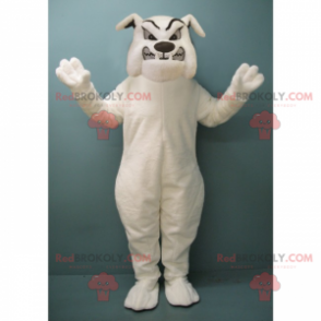 Zuřivý bílý buldok maskot - Redbrokoly.com