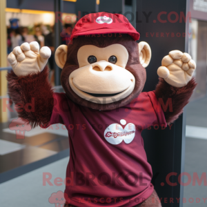 Maroon chimpansee...