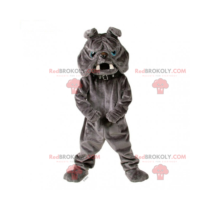 Grå bulldog maskot med krage - Redbrokoly.com