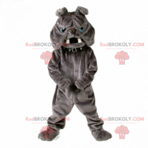 Graues Bulldoggenmaskottchen mit Kragen - Redbrokoly.com