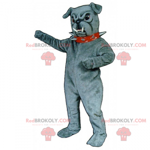 Gray bulldog mascot with spiked collar - Redbrokoly.com