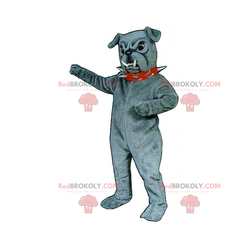 Grå bulldogmaskot med taggig krage - Redbrokoly.com
