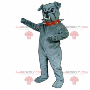 Mascotte bulldog grigio con colletto a spillo - Redbrokoly.com