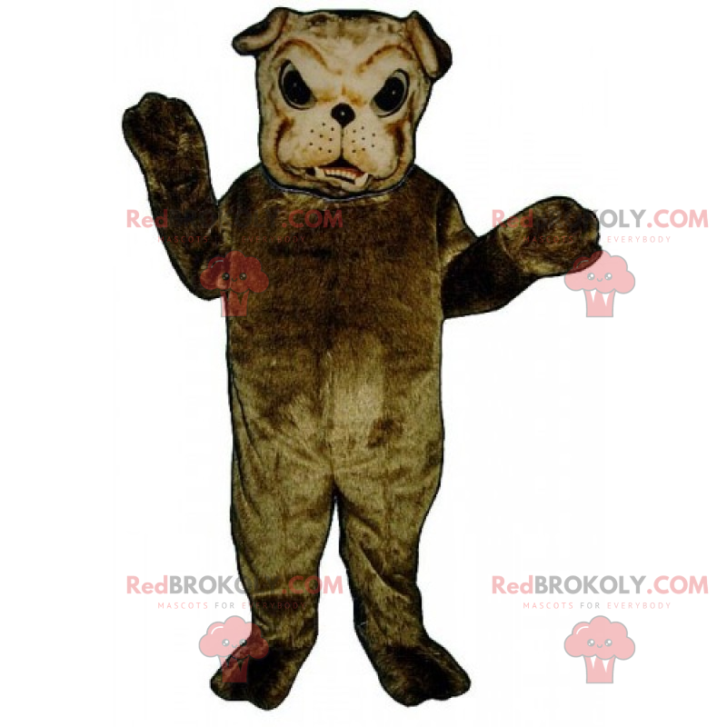 Mascote bulldog marrom e cabelo macio - Redbrokoly.com