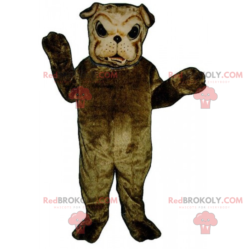 Mascotte bulldog marrone e capelli morbidi - Redbrokoly.com