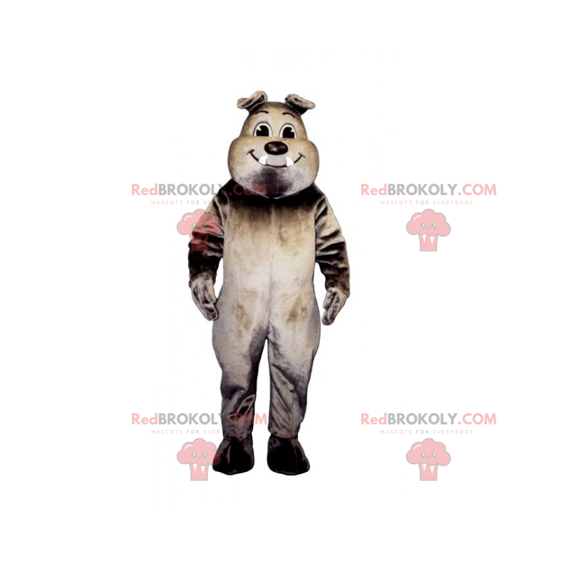 Lächelndes Bulldoggenmaskottchen - Redbrokoly.com