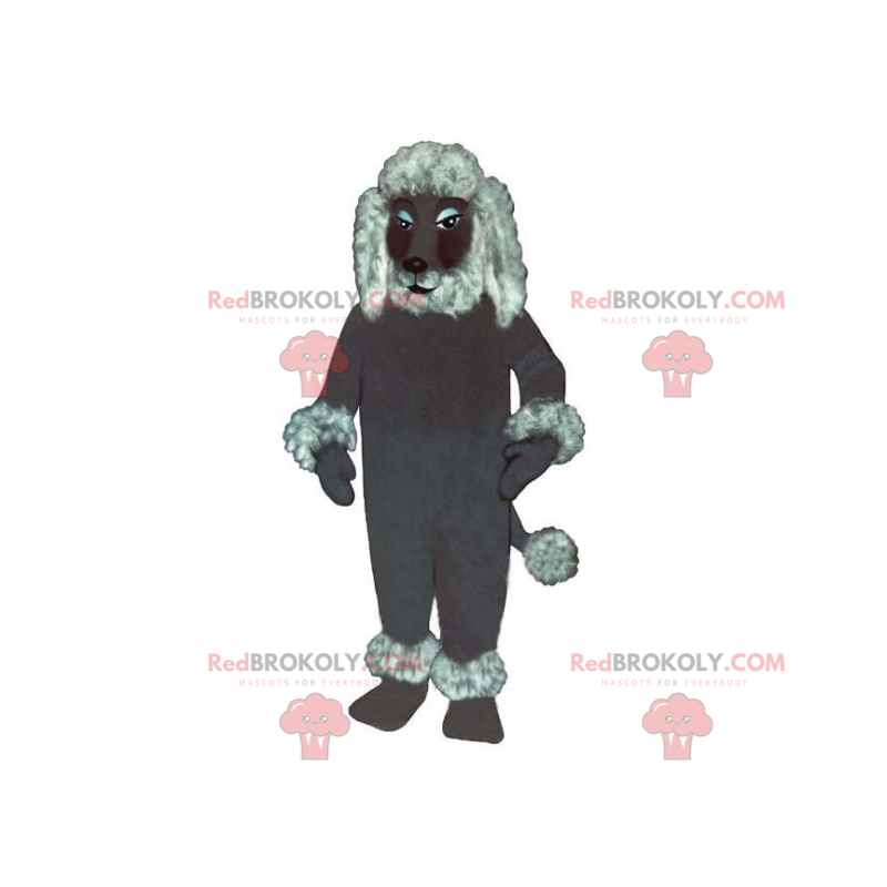 Grå puddel maskot - Redbrokoly.com