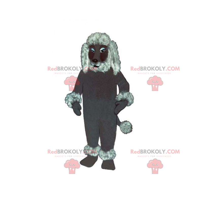 Šedý pudl maskot - Redbrokoly.com Šedý pudl maskot - Redbrokoly.com