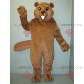 Mascotte van de zachtharige bever - Redbrokoly.com