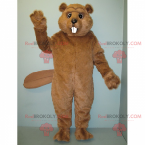 Soft-haired beaver mascot - Redbrokoly.com