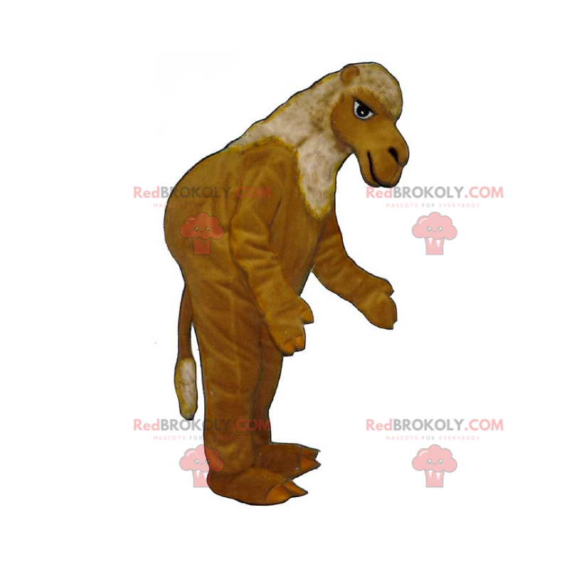 Kamelmaskott - Redbrokoly.com