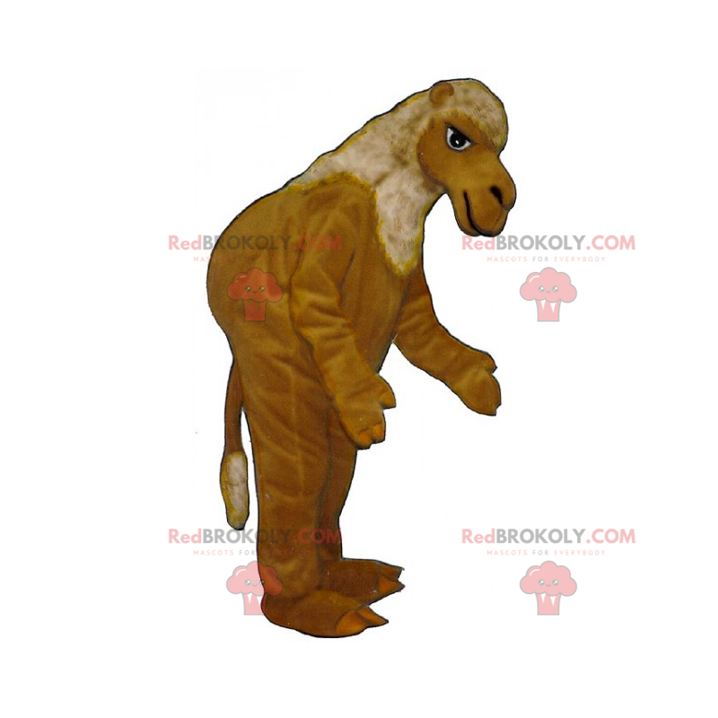 Maskotka wielbłąda - Redbrokoly.com