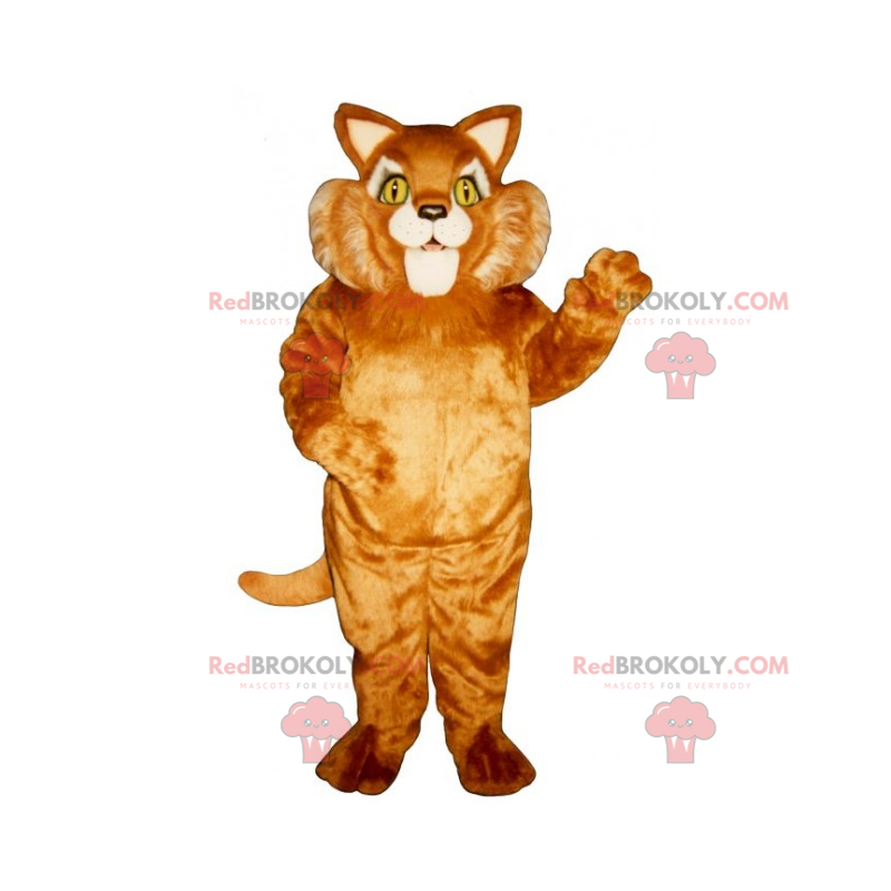 Katzenmaskottchen mit großer Wange - Redbrokoly.com