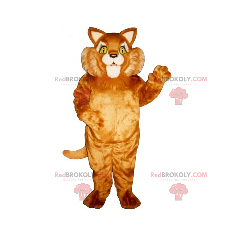 Mascote de gato bochechudo - Redbrokoly.com