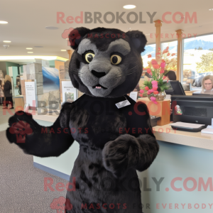 Black Mountain Lion mascot...