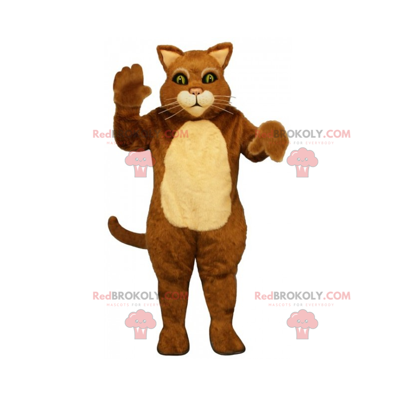 Mascotte gatto bicolore con lunghi baffi - Redbrokoly.com