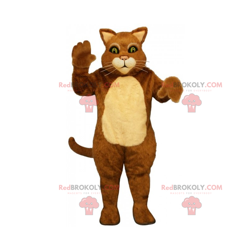 Two-tone cat mascot with long whiskers - Redbrokoly.com