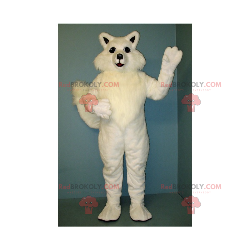 Hvit kattemaskot - Redbrokoly.com Hvit kattemaskot - Redbrokoly.com