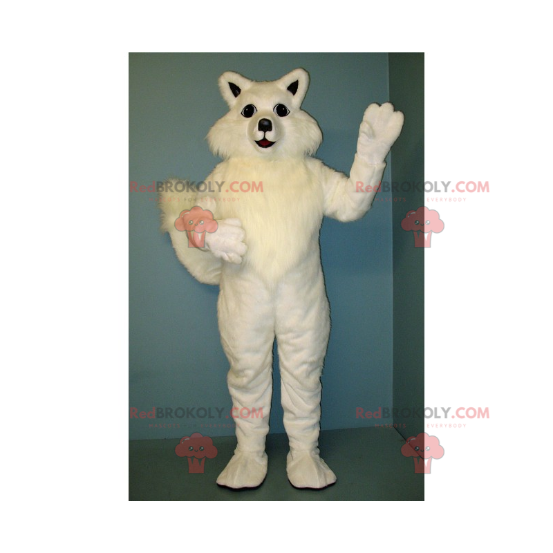 Witte kat mascotte - Redbrokoly.com