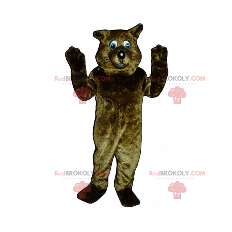 Bruine kat mascotte met blauwe ogen - Redbrokoly.com