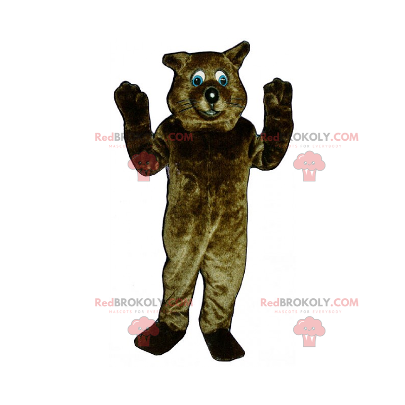 Brązowy kot maskotka z niebieskimi oczami - Redbrokoly.com Brązowy kot maskotka z niebieskimi oczami - Redbrokoly.com